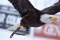 , Womens slalom world cup 2012 - Courchevel Enquirer